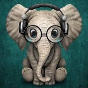 Meet your Posher, Alida